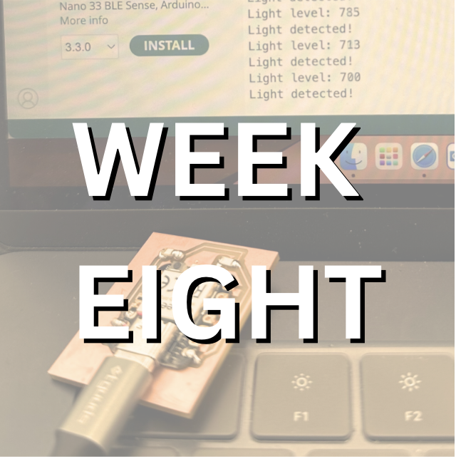 Project 8 Thumbnail